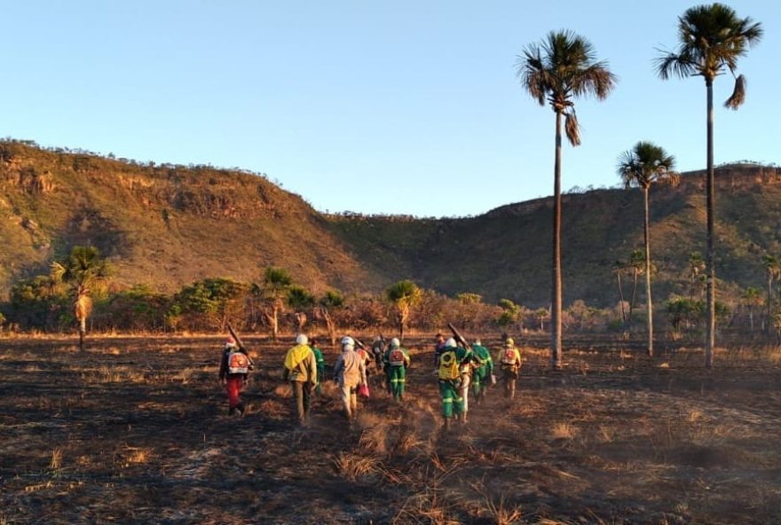 Desde setembro de 2020, o Sistema de Licenciamento Ambiental de Goiás, o Ipê, chegou à marca das três mil licenças expedidas. (Foto: Divulgação/Semad)