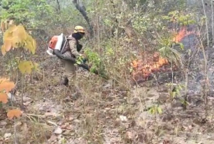 Região da Chapada do Veadeiros sofre com novo incêndio florestal