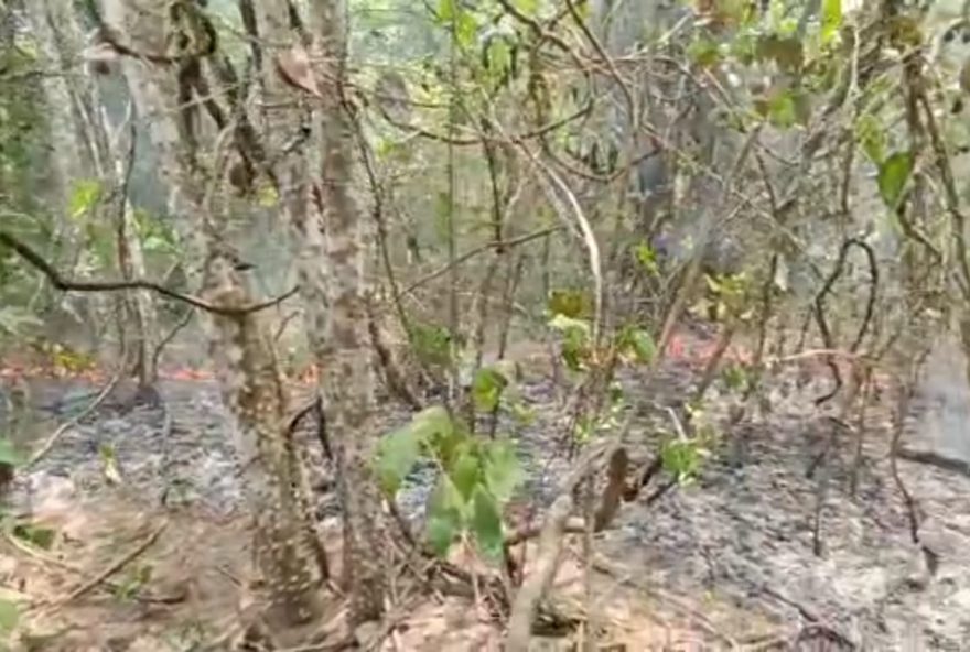 Episódio é o segundo em uma semana e teria sido provocado pela queda de um raio na sexta-feira passada, 07. Ao todo, a equipe combateu 14 quilômetros em linha de fogo desde ontem. 
(Foto: Reprodução/CBMGO)