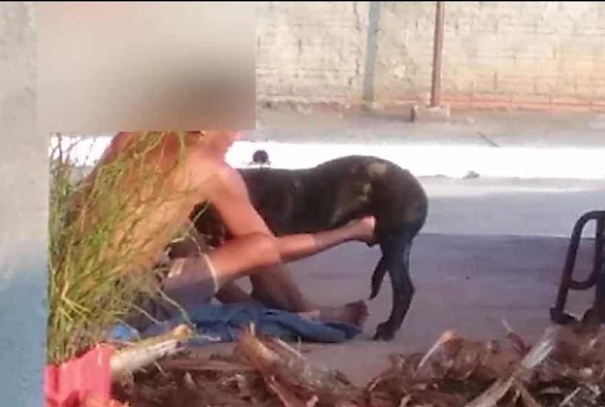 Cachorro ficou impossibilitado de se defender durante agressão. (Foto: Divulgação/PC)