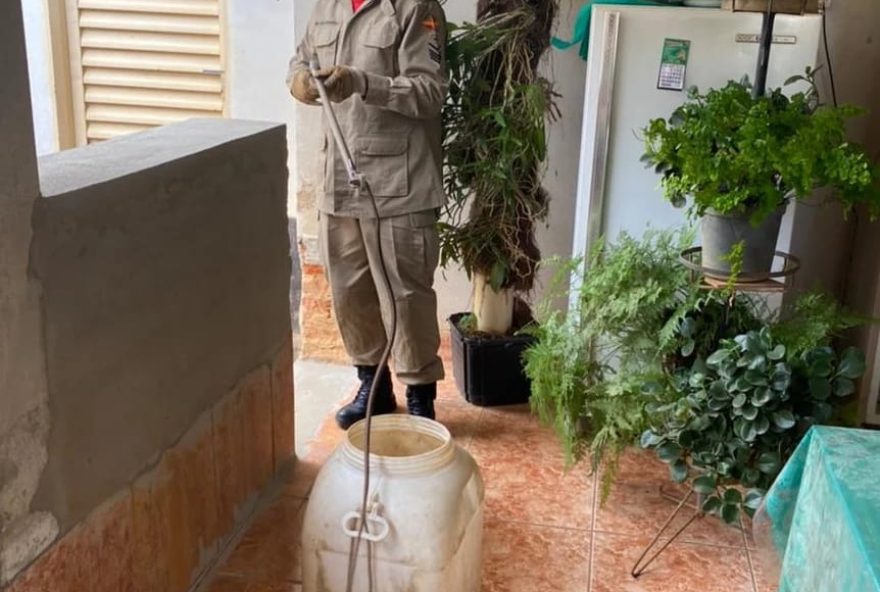 Foi necessário usar uma pinça para alcançar a cobra, que estava aparentemente tranquila. (Foto: Divulgação/CBMGO)