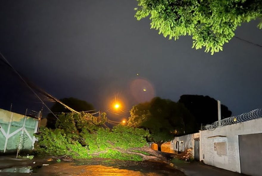 Fortes chuvas em Goiânia causa estragos e adia eventos do governo