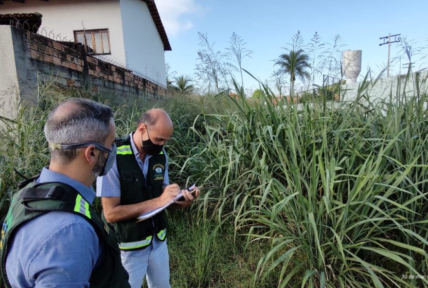 Agência Municipal do Meio Ambiente autuou, nos últimos 12 meses, 18.254 imóveis por mato alto e entulho descartado de forma irregular na capital: multa para quem não realiza limpeza é de R$ 1 mil