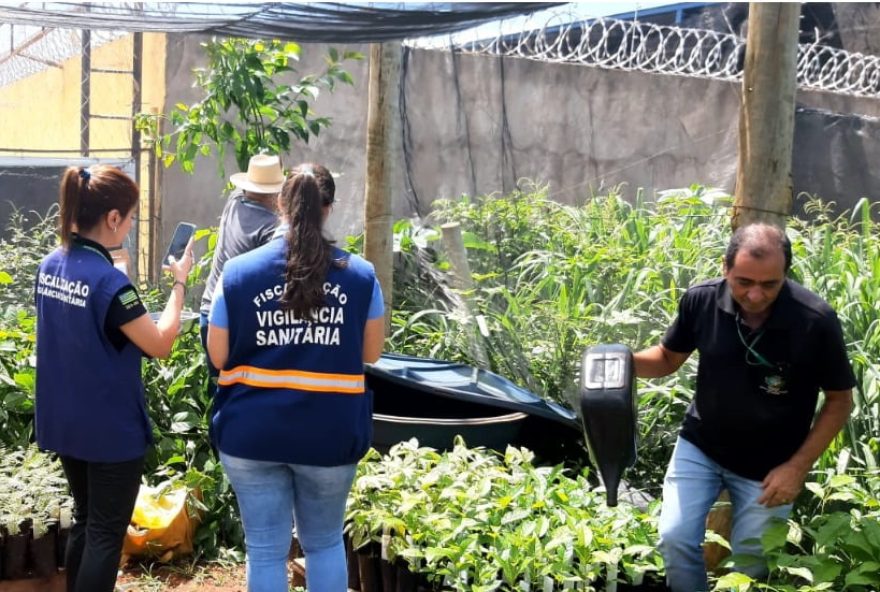 Profissionais do Governo de Goiás fazem vistoria em viveiro de plantas buscando criadouros do Aedes agypti, durante força-tarefa no município de Palmeiras de Goiás