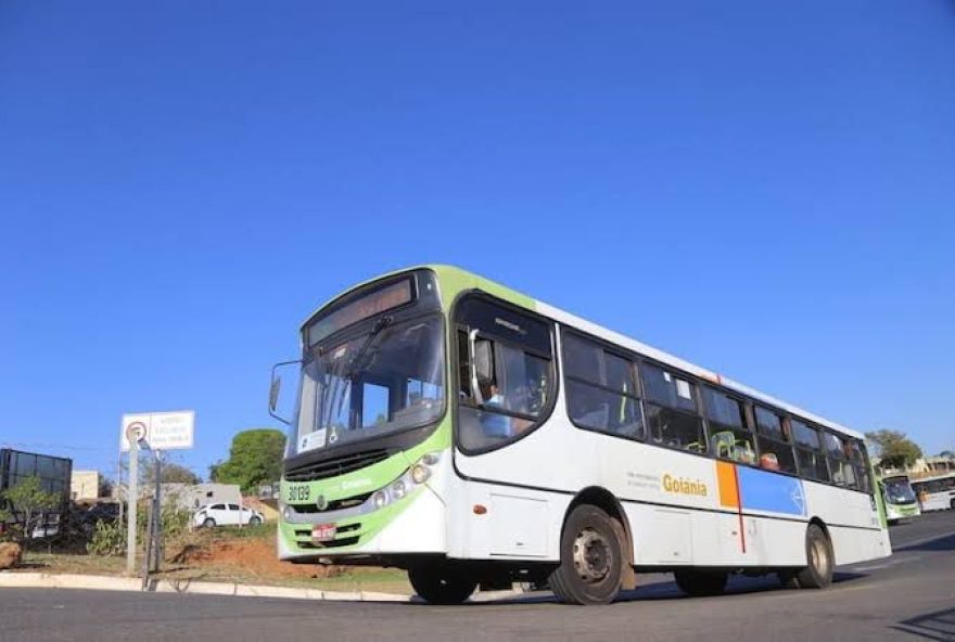 Segunda edição da feira de artesanato Goiás Feito à Mão será realizada nos dias 18 e 19 de março, na Praça Cívica. Inscrições para interessados seguem até 18 de fevereiro 
(Foto: Secretaria da Retomada)