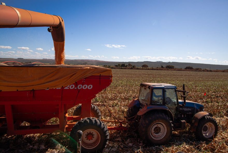 Produção goiana de grãos deve crescer 9,1% na safra 2022/2023 com expectativa de colheita de 16,8 milhões de toneladas de soja e 12,8 milhões de toneladas de milho
(Foto: Wenderson Araujo/CNA)