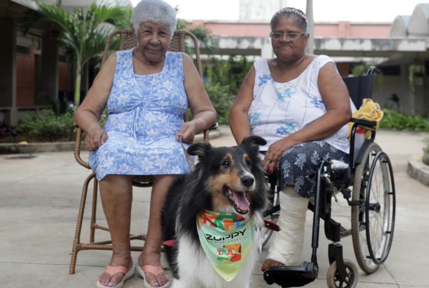 Idosos do Sagrada Família participam de terapia com cães: carinho que tem reflexos positivos na saúde física e mental (Fotos: Thomas Toledo)