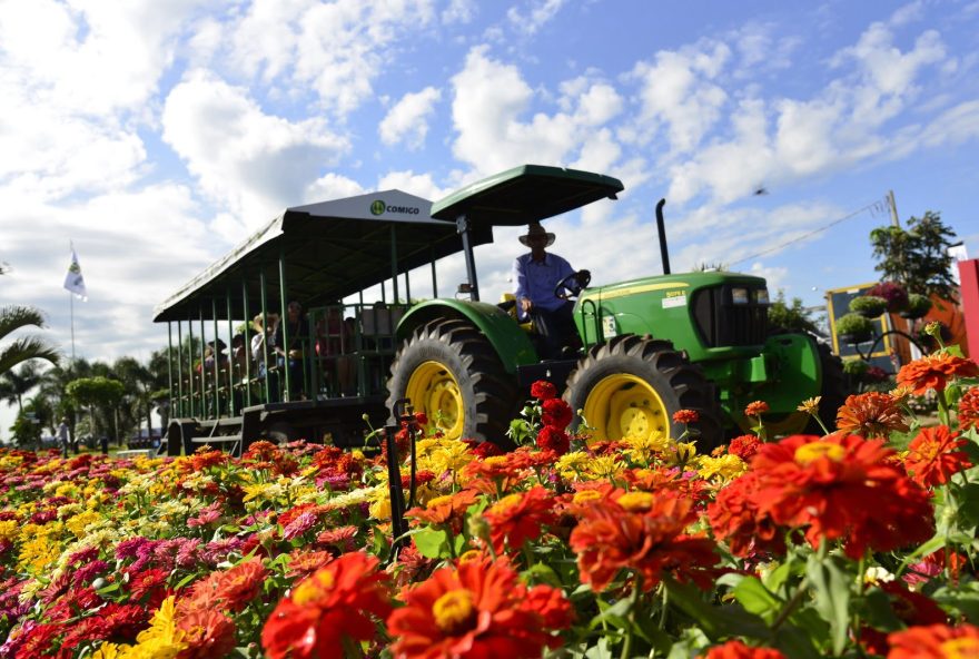 Com a proposta de auxiliar o produtor rural, a COMIGO iniciou, em 2002, o trabalho de geração e difusão de tecnologias agropecuária