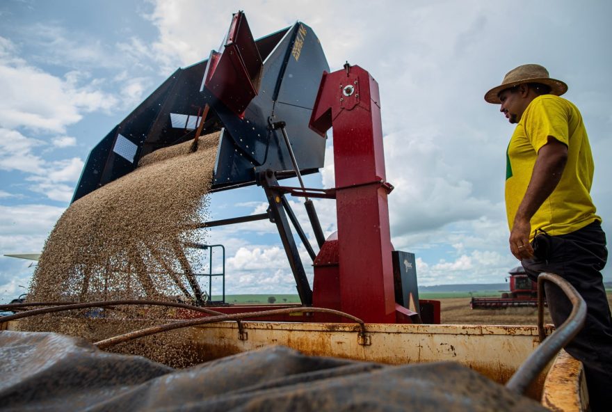 O setor agropecuário criou 1.508 vagas no mês de janeiro em Goiás.