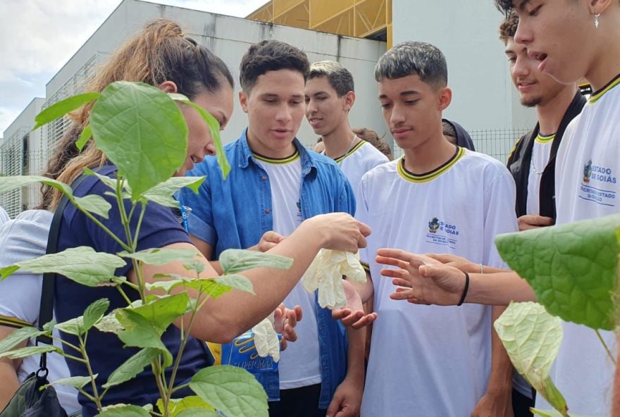 Alunos da rede pública de Goiás em ação educativa