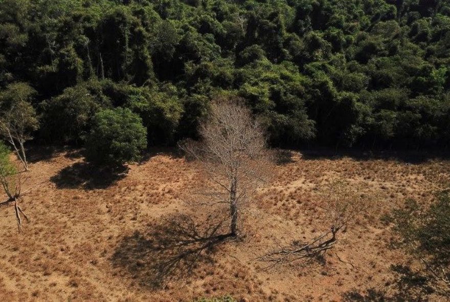 Segundo Observatório do Clima, volume cresceu 12,5% em 2021
(Foto: Reprodução: Agência Brasil)