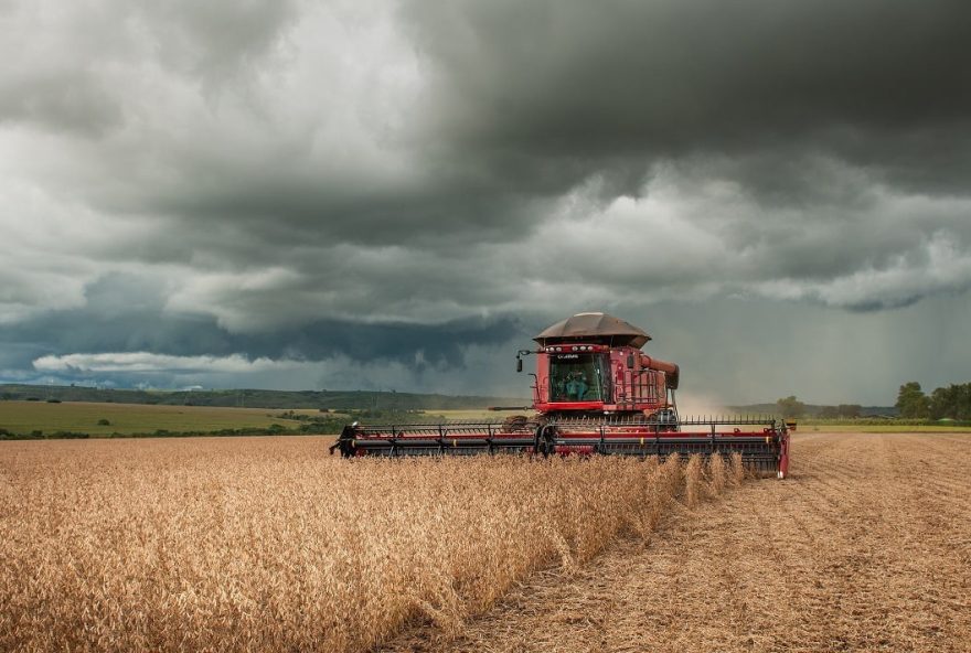 Aprovados R$ 16,8 milhões em novos financiamentos do FCO Rural em Goiás