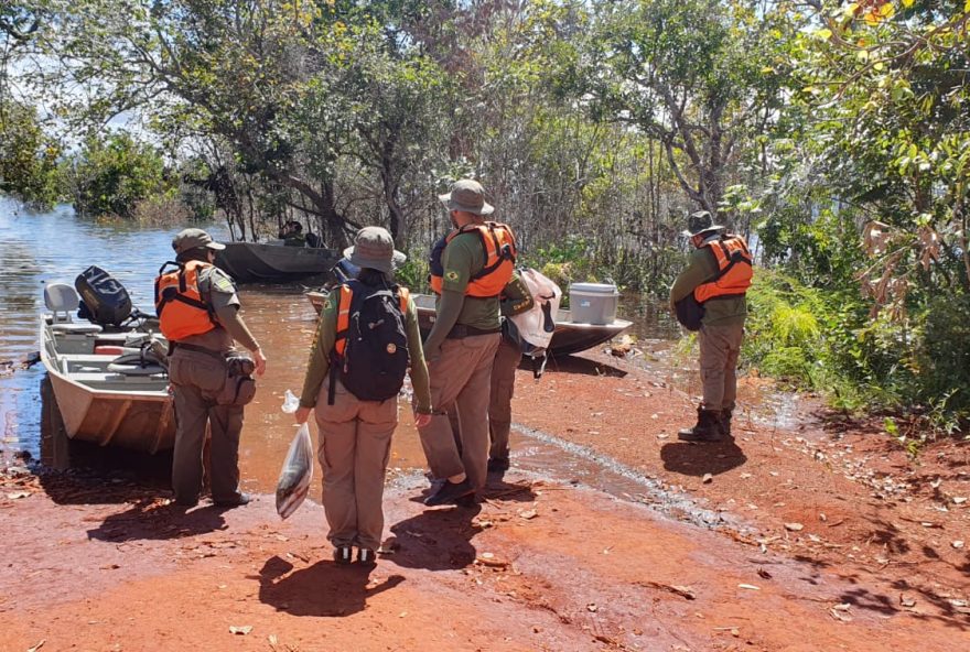 Ação de fiscalização contra pesca ilegal no lago Serra da Mesa, em Niquelândia. (Reprodução/Semad)