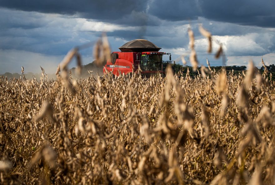 Os dados divulgados pelo Ministério da Agricultura e Pecuária, por meio da plataforma Agrostat.
(Foto:Reprodução)