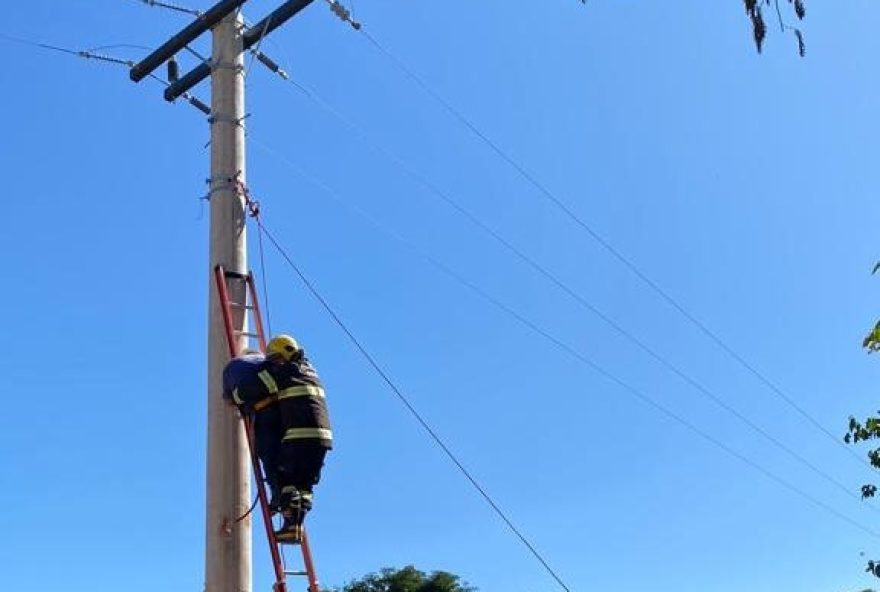 Homem sofre choque elétrico e fica preso em poste até ser resgatado