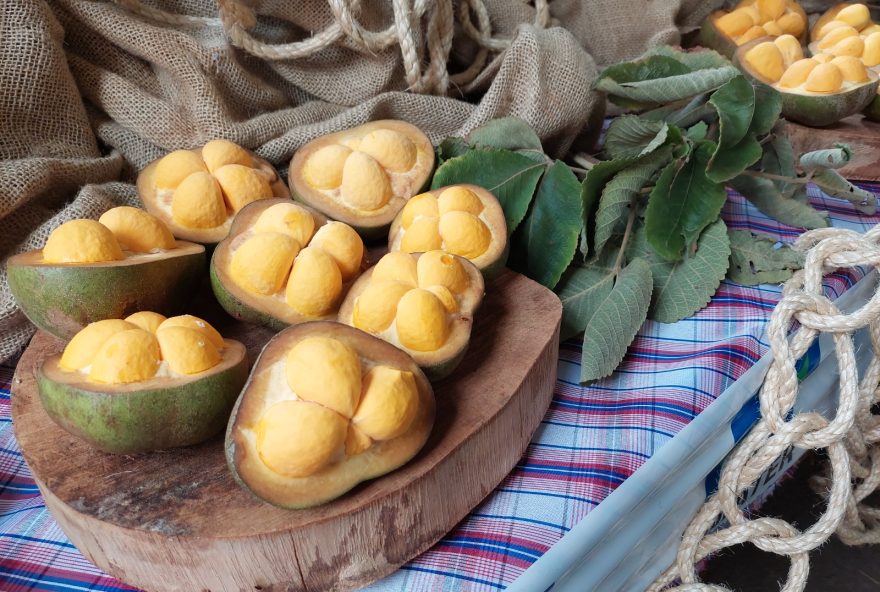 Pequi sem espinhos, desenvolvido pela Emater e Embrapa, é um dos destaques de festival gastronômico neste fim de semana, em Goiânia
(Fotos: Emater)