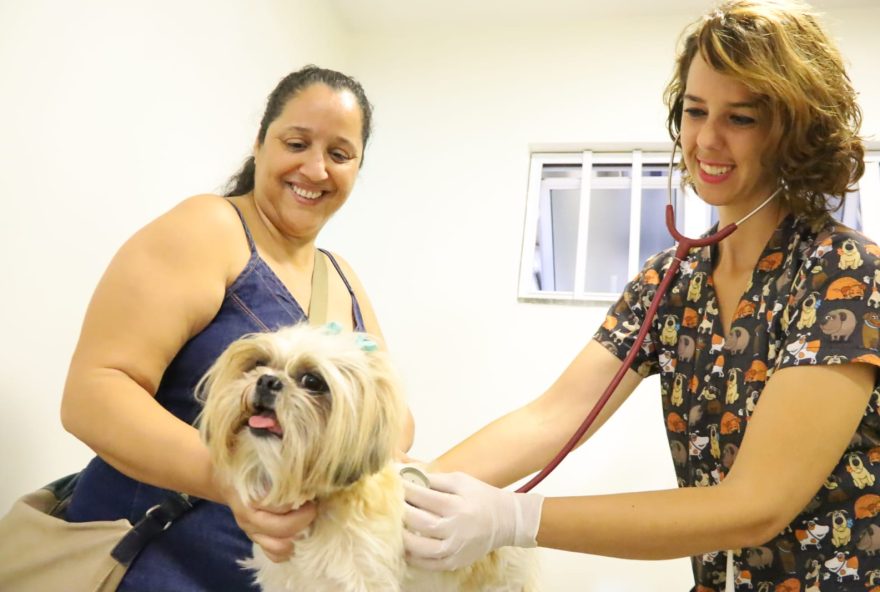 UPAVet registra 48 cirurgias de castrações em animais de famílias em situação de vulnerabilidade social, desde abril: nos cinco primeiros meses de 2023, foram realizados 1.269 atendimentos 
(Fotos: Amma)