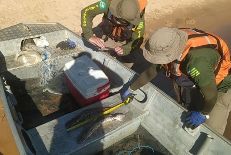 Semad coíbe pesca ilegal no Alto Araguaia; fiscais já apreenderam 130kg de pescado e ainda resgataram 12 tartarugas que foram devolvidas à natureza

(Foto: Semad)