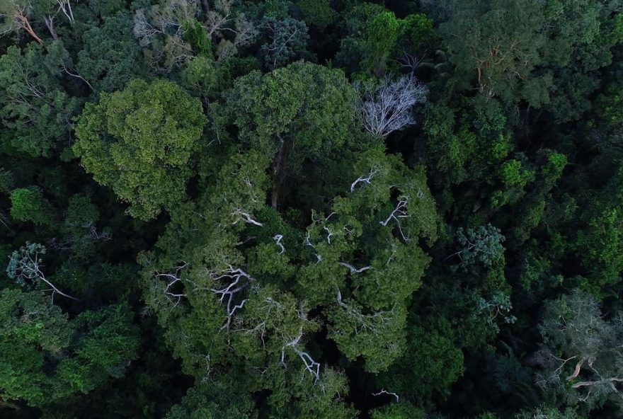 ONU emitiu alerta sobre as alterações climáticas mundiais
(Foto: Reprodução/ Agência Brasil)