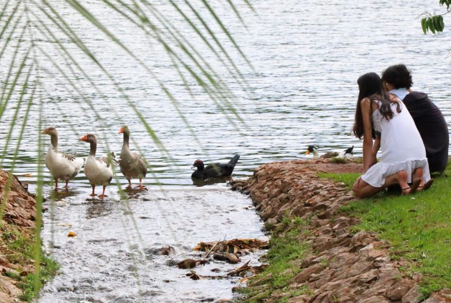 Parques municipais são opções de lazer e esporte durante as férias (Foto: Reprodução/ Amma)