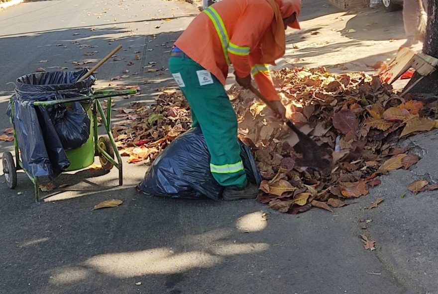 Prefeitura de Goiânia executa ação de retirada de folhas secas no Parque Atheneu, e intensifica varrição em 150 circuitos nesta quarta-feira (02/08): Comurg alerta a população para não atear fogo nas folhagens
(Fotos: Comurg)