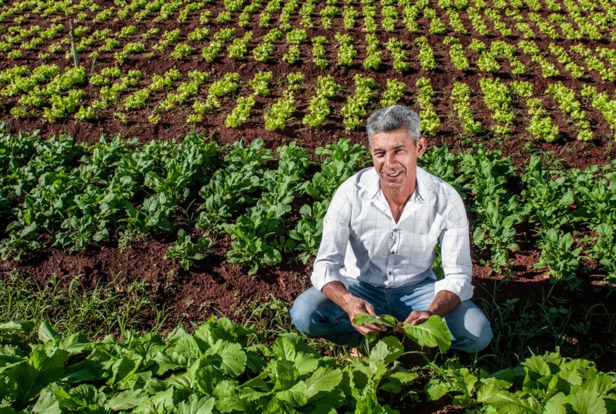 Leonel Adão Oliveira, de Trindade, um dos 841 produtores aprovados para participar do PAA Goiás 2023
(Foto: Enio Tavares)