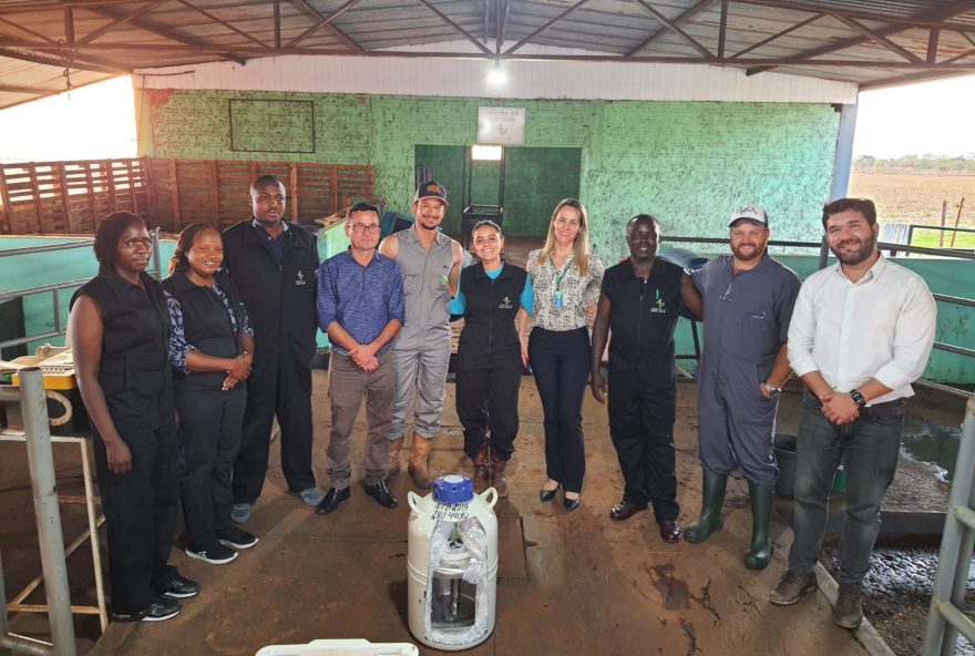 Veterinários do Quênia buscam conhecimentos em Goiás para ajudar a transformar a realidade da produção leiteira em seu país de origem
(Foto: Reprodução)