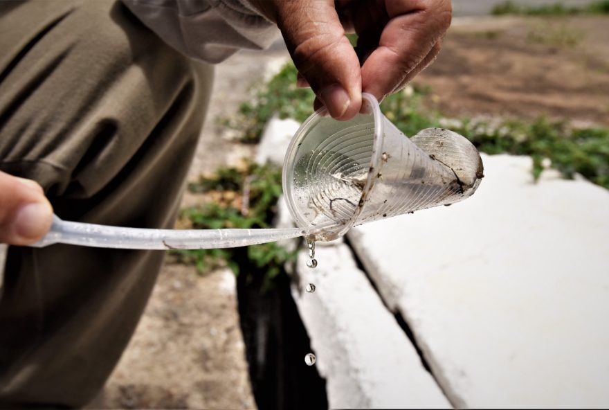 Governo de Goiás convoca população para combater a proliferação do Aedes aegypti durante chuvas irregulares em Goiás nas últimas semanas 
(Foto: Reprodução/ SES-GO)