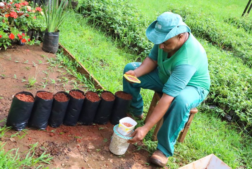 Legenda: Prefeitura de Goiânia adere ao Virada Ambiental 2023 e incentiva empresas a participarem do Programa Selo Sustentável: parceria entre UFG e Amma promove plantio de mil mudas de árvores (Fotos: Paulo José)