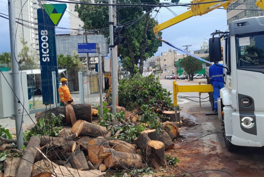 Prefeitura de Goiânia reforça ações de limpeza após temporal e alerta para o descarte correto de lixo (Foto: Comurg)