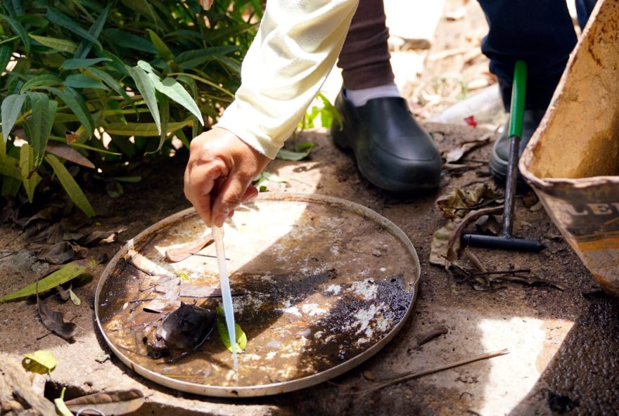 Casos de dengue tipo 3 em outros estados acendem alerta para necessidade de ações para evitar epidemia da doença no próximo ano, (Foto: SES)