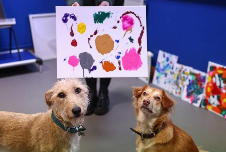 Cães e gatos abandonados viram artistas e arrecadam fundos para associação (Foto: HENRY NICHOLLS / AFP)