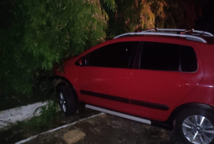 Briga de casal dentro de carro termina em acidente na BR-153, em Santa Tereza de Goiás. (Foto: PRF)