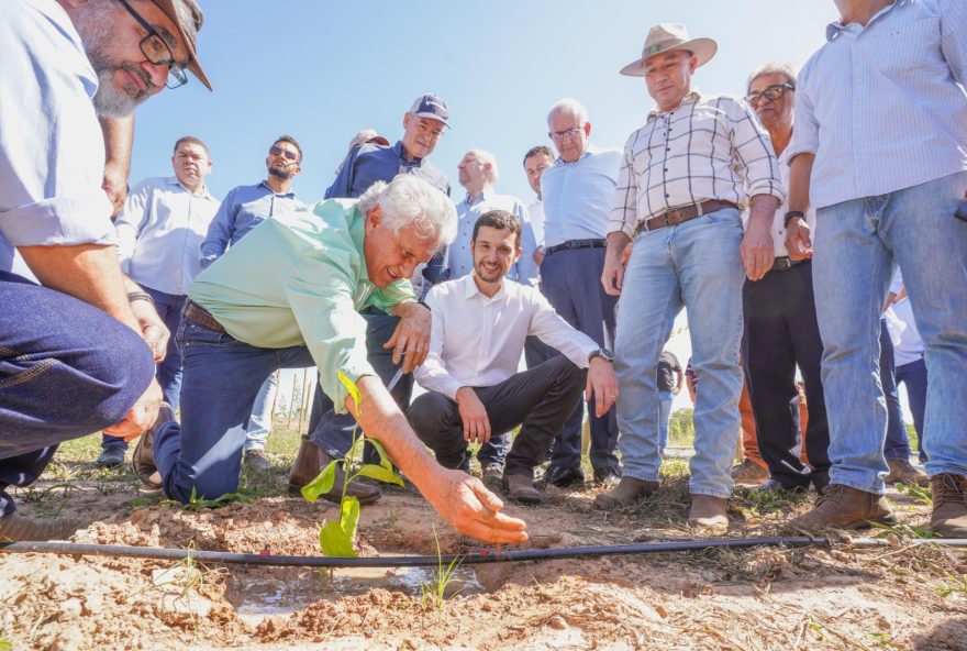 Legenda: Governador Ronaldo Caiado lanço projeto de fruticultura, em Flores de Goiás. Produtores esperam produzir mais de 10,2 mil toneladas de manga e maracujá por ano em área de 296 hectares
(Fotos: Lucas Diener)