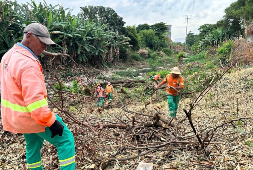 Prefeitura de Goiânia realiza serviços de roçagem e limpeza às margens de córregos e se prepara para período chuvoso
(Fotos: Luciano Magalhães Diniz)