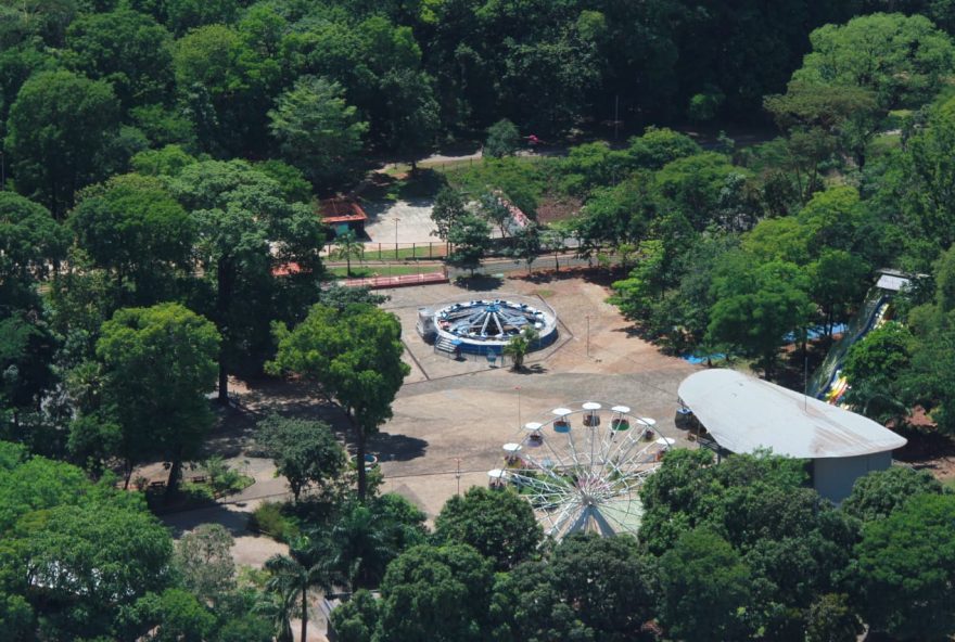 Prefeitura irá substituir 22 árvores por outras 30 no Parque Mutirama. Ação visa garantir segurança aos usuários e trabalhadores do parque. 
(Fotos: Paulo José)