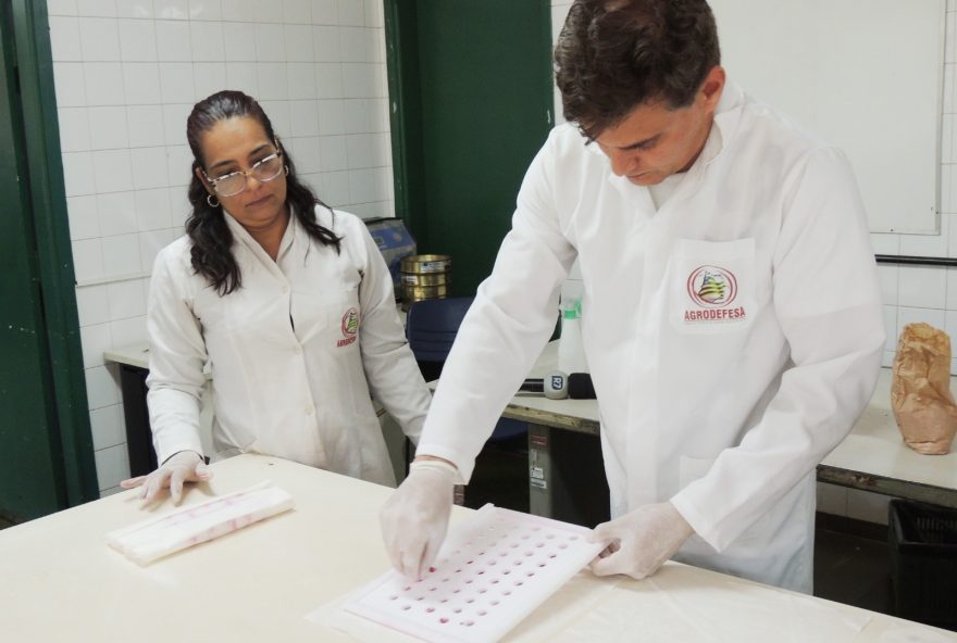 Laboratório da Agrodefesa alcança nota máxima em teste nacional. (Fotos: Agrodefesa)