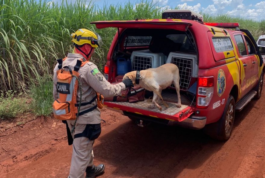 Vítima de homicídio foi encontrada dentro de canavial com ajuda de cães farejadores