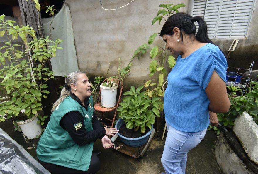 Governo de Goiás realiza Dia D de Combate à Dengue