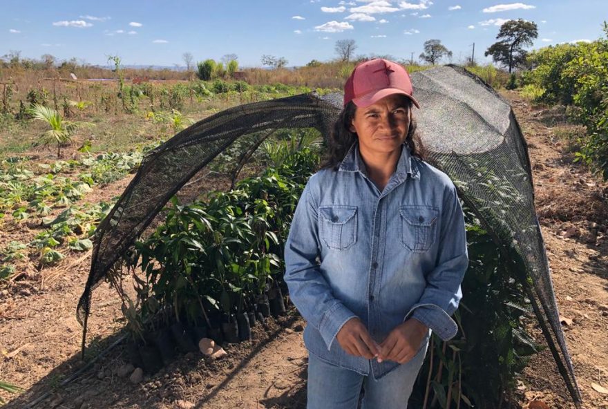 Mulheres são maioria dos beneficiados por programas do Estado para agricultura familiar