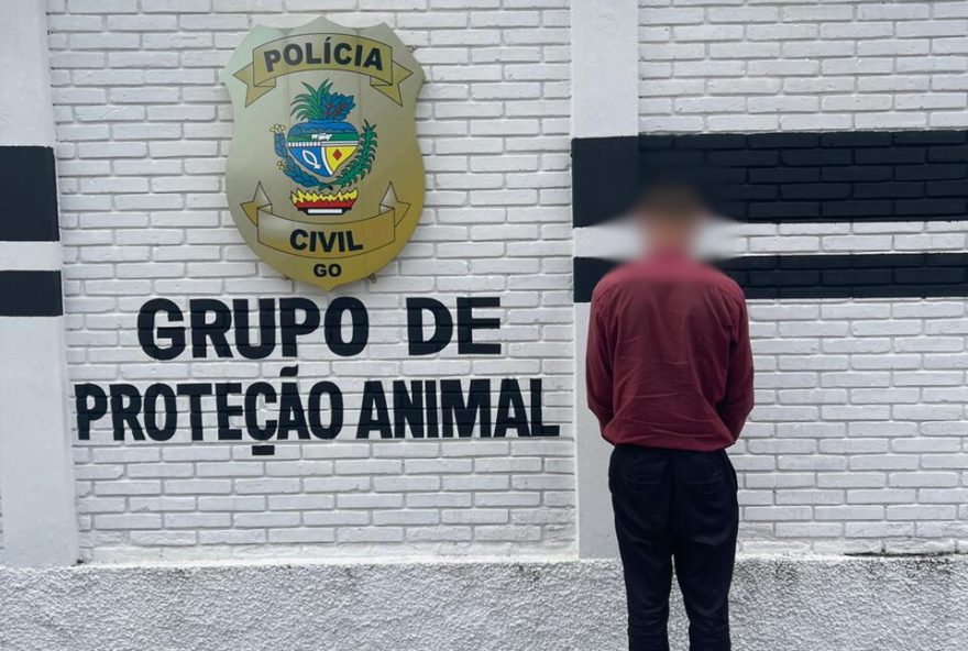 Proprietário de casa noturna é preso por maus-tratos contra cães