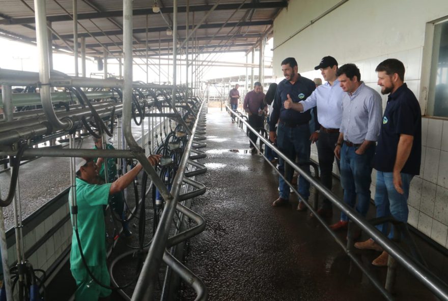 Governador em exercício, Daniel Vilela visita maior produtora de leite de Goiás, em Silvânia
(Fotos: Jota Eurípedes)