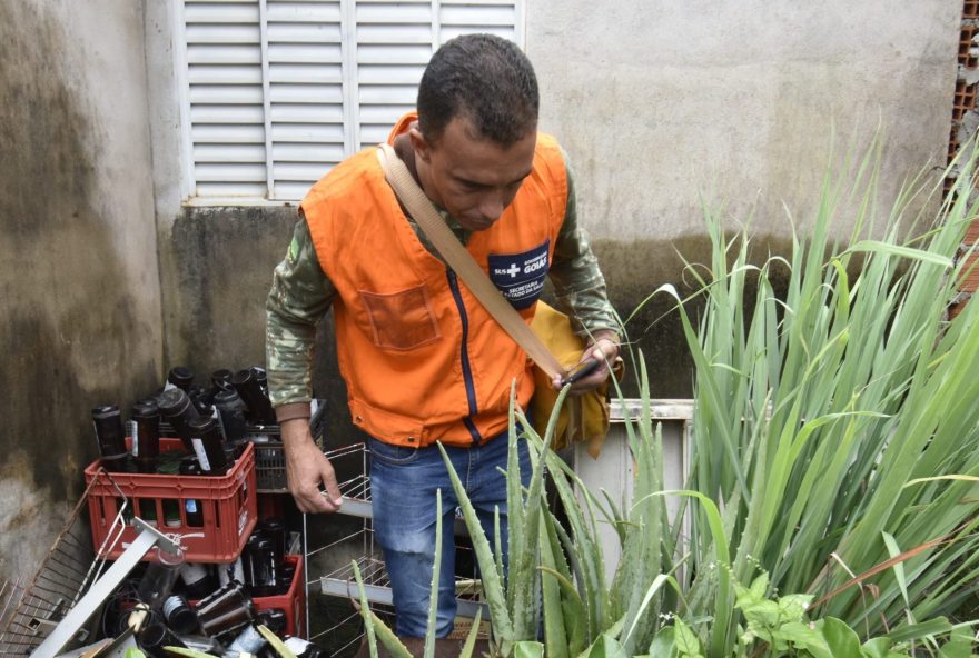 Governo de Goiás alerta para cuidados com a dengue durante feriado