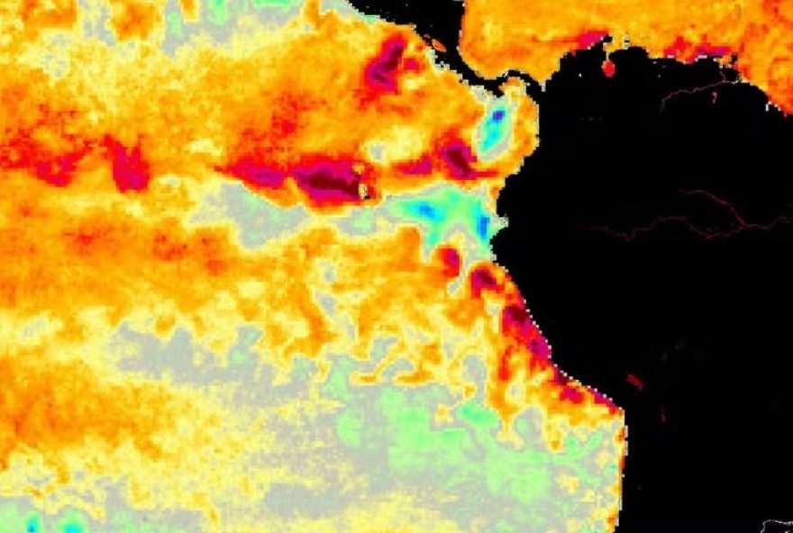 Algumas áreas do Oceano Pacífico já estão mais frias do que a temperatura média 
( Foto: Metsul / NASA / Reprodução)