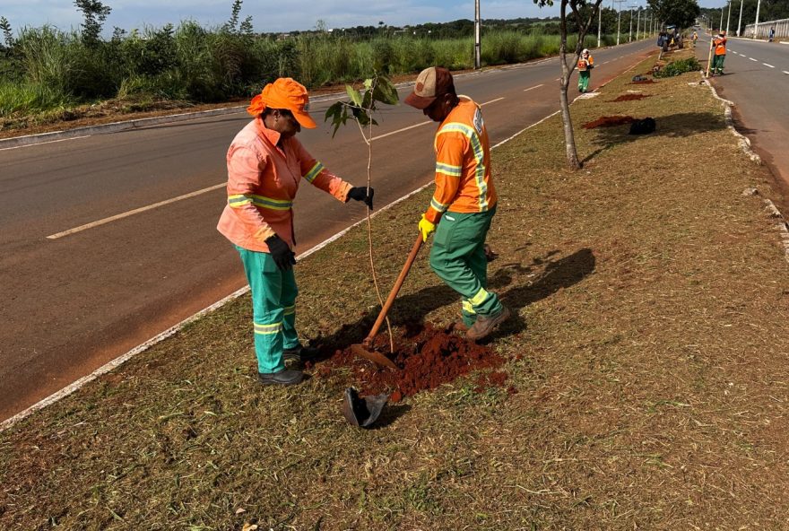 Prefeitura de Goiânia promove plantio de 1,5 mil árvores na Região Oeste durante Mutirão