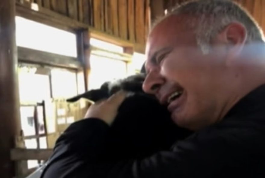 O reencontro emocionante entre um tutor e sua cachorrinha no Galpão Ulbra, em Canoas, após enchentes no Rio Grande do Sul (Foto: Reprodução)