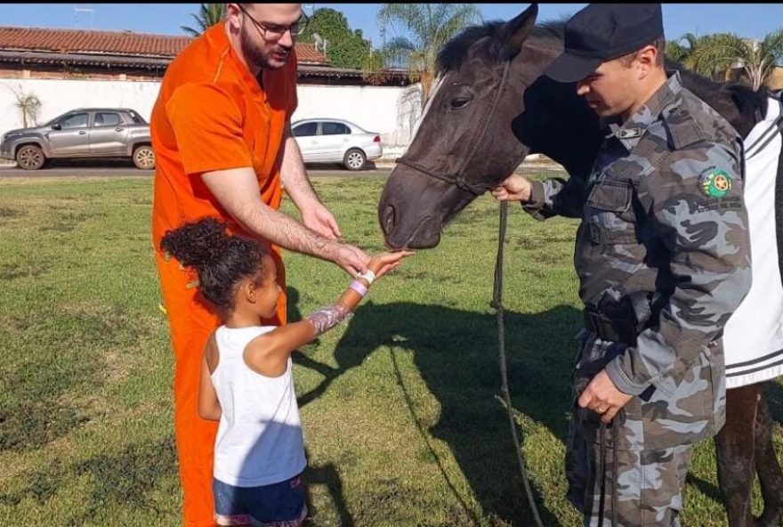 Pacientes do HMAP recebem visita de cavalo da Polícia Militar de Goiás (Foto: Assessoria de Imprensa do HMAP)