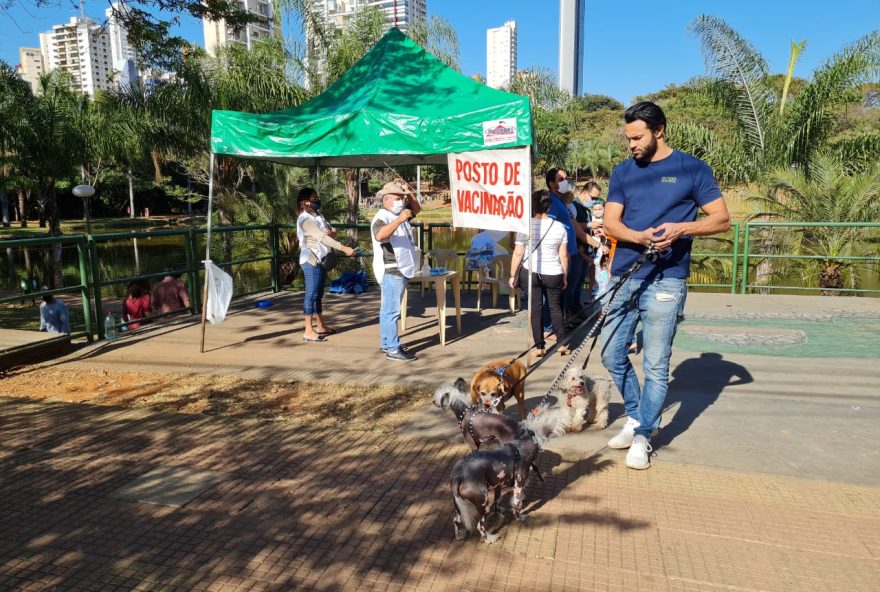 Vacinação gratuita acontece em dois sábados, 14 e 21 de setembro, com mais de 290 postos em toda a cidade. (Foto: Reprodução)