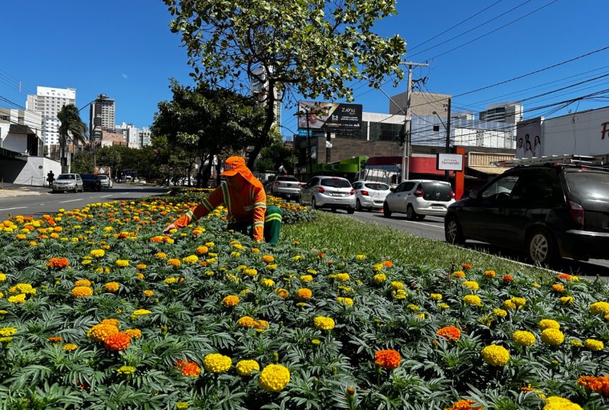 Praças em Goiânia recebem cuidados durante todas as estações do ano e são verdadeiras “Ilhas a “dureza” da paisagem urbana | Foto: Luciano Magalhães