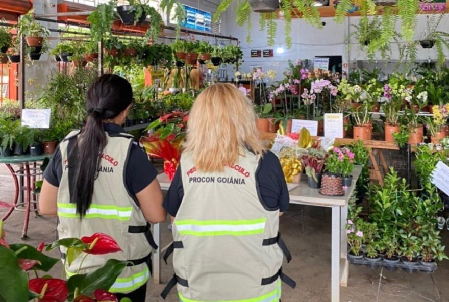 Pesquisa do Procon Goiânia revela variação de preços de flores para o Dia de Finados, com diferenças de até 235% | Fotos: Procon